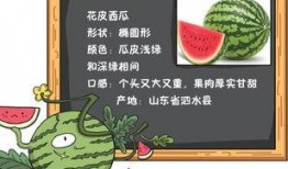 小说看瓜吃瓜免费阅读,揭秘幕后真相，跟随主角探寻悬疑世界